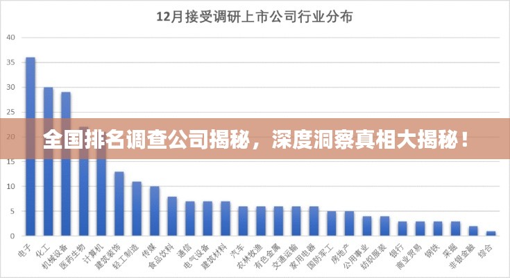 全国排名调查公司揭秘，深度洞察真相大揭秘！