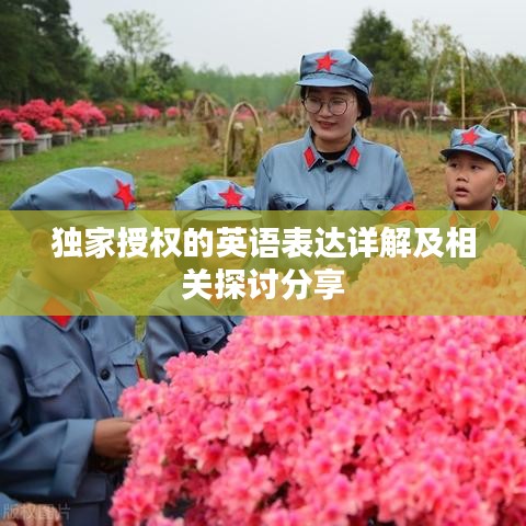 独家授权的英语表达详解及相关探讨分享