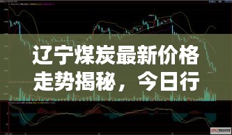 辽宁煤炭最新价格走势揭秘，今日行情分析