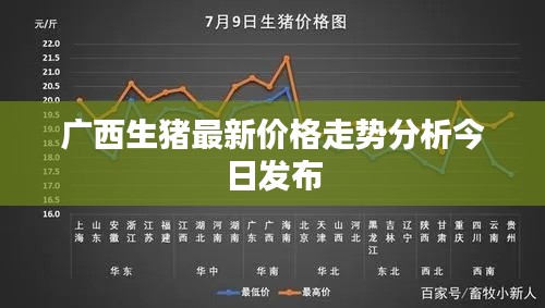 广西生猪最新价格走势分析今日发布