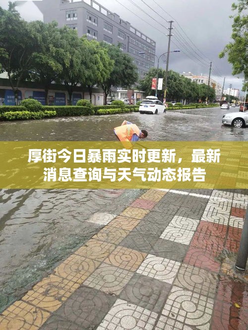 厚街今日暴雨实时更新，最新消息查询与天气动态报告