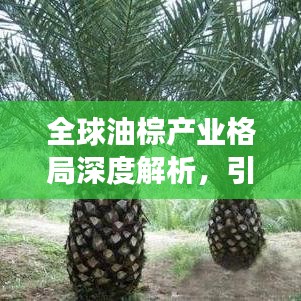 全球油棕产业格局深度解析，引领世界油棕发展浪潮