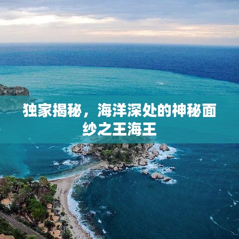 独家揭秘，海洋深处的神秘面纱之王海王