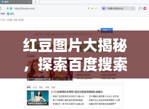 红豆图片大揭秘，探索百度搜索中的无尽魅力