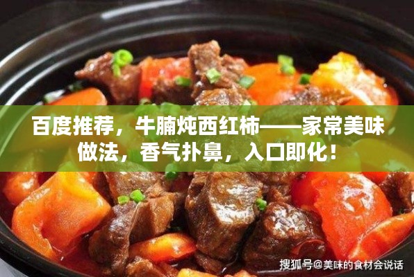 百度推荐，牛腩炖西红柿——家常美味做法，香气扑鼻，入口即化！