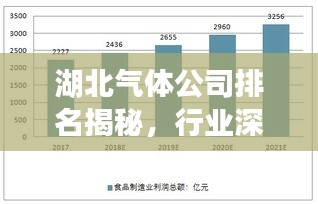 湖北气体公司排名揭秘，行业深度分析与前景展望