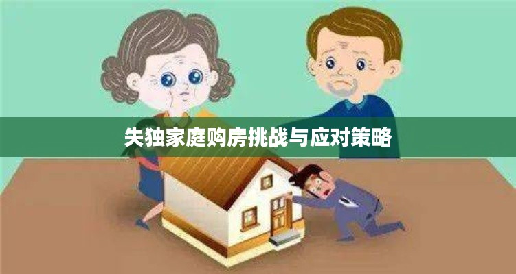 失独家庭购房挑战与应对策略