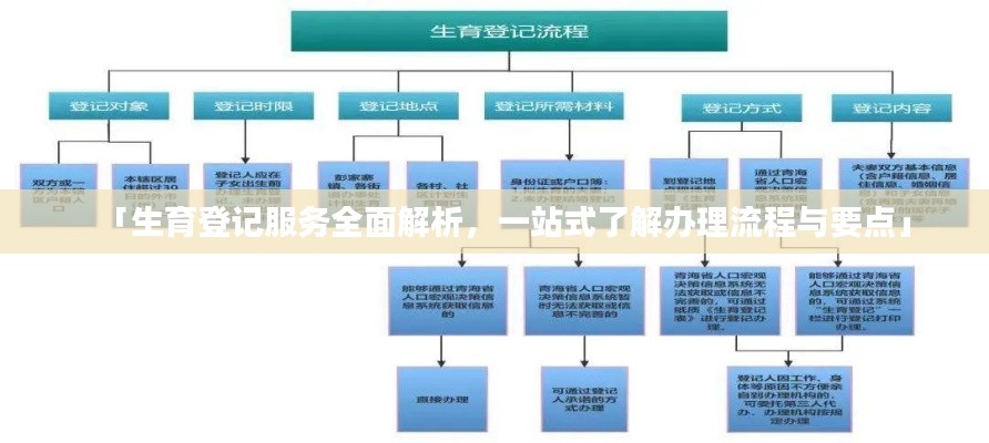 「生育登记服务全面解析，一站式了解办理流程与要点」