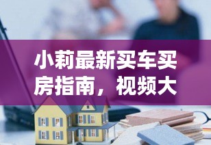 小莉最新买车买房指南，视频大全、深度解析与前沿资讯一网打尽