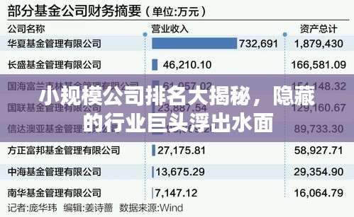 小规模公司排名大揭秘，隐藏的行业巨头浮出水面