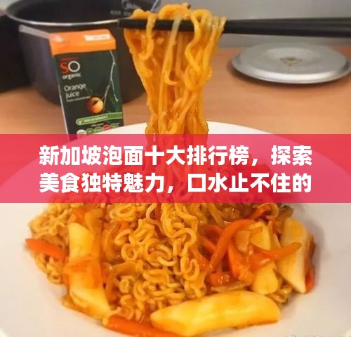 新加坡泡面十大排行榜，探索美食独特魅力，口水止不住的诱惑！