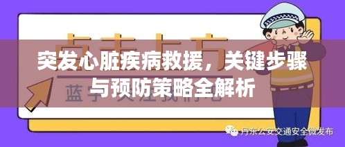 突发心脏疾病救援，关键步骤与预防策略全解析