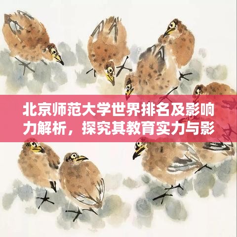 北京师范大学世界排名及影响力解析，探究其教育实力与影响力之巅