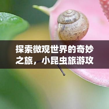 探索微观世界的奇妙之旅，小昆虫旅游攻略全解析