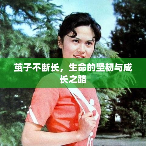 茧子不断长，生命的坚韧与成长之路