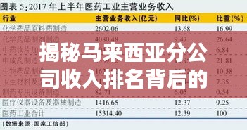 揭秘马来西亚分公司收入排名背后的秘密，影响因素全解析