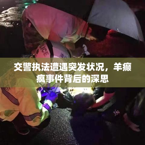 交警执法遭遇突发状况，羊癫疯事件背后的深思