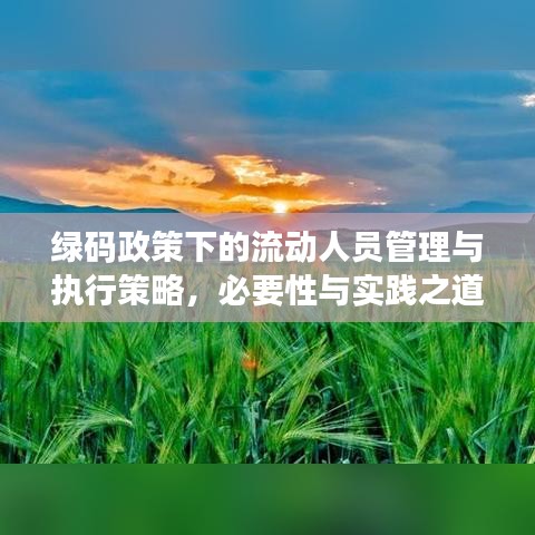 绿码政策下的流动人员管理与执行策略，必要性与实践之道