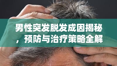 男性突发脱发成因揭秘，预防与治疗策略全解析