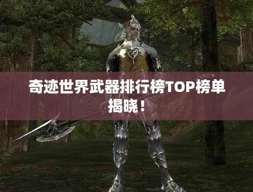 奇迹世界武器排行榜TOP榜单揭晓！