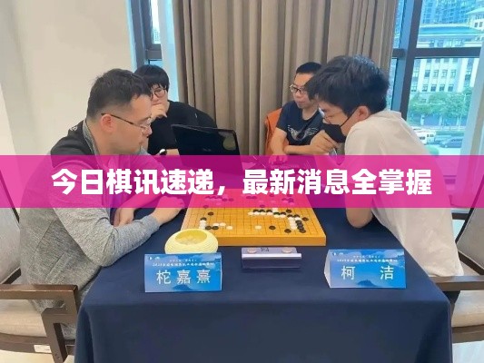 今日棋讯速递，最新消息全掌握