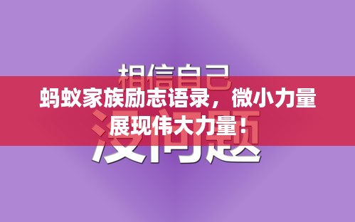 蚂蚁家族励志语录，微小力量展现伟大力量！