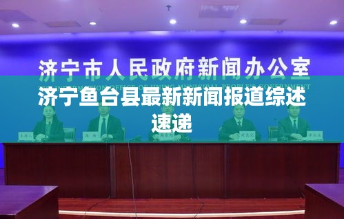济宁鱼台县最新新闻报道综述速递