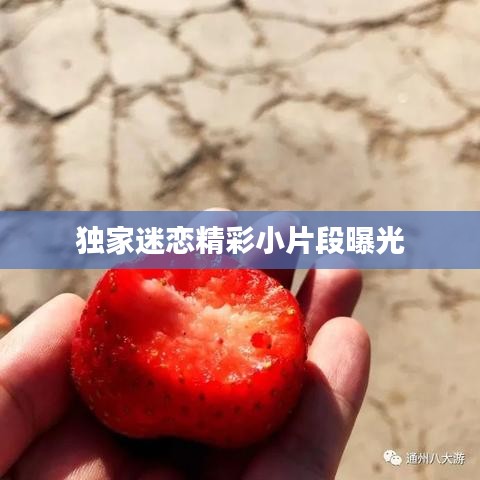 独家迷恋精彩小片段曝光