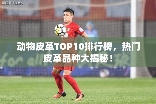 动物皮革TOP10排行榜，热门皮革品种大揭秘！