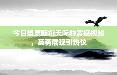 今日雄鹰翱翔天际的震撼视频，英勇展现引热议