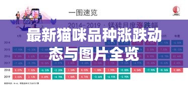 最新猫咪品种涨跌动态与图片全览