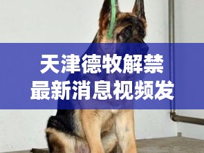天津德牧解禁最新消息视频发布！