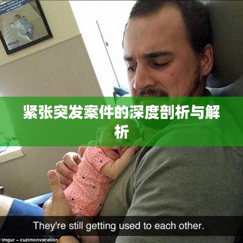 走马观花