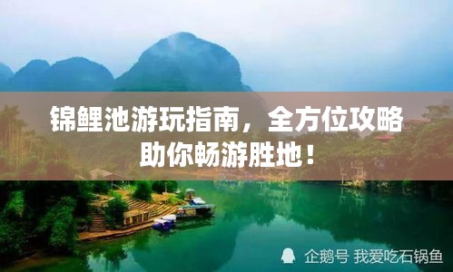 锦鲤池游玩指南，全方位攻略助你畅游胜地！