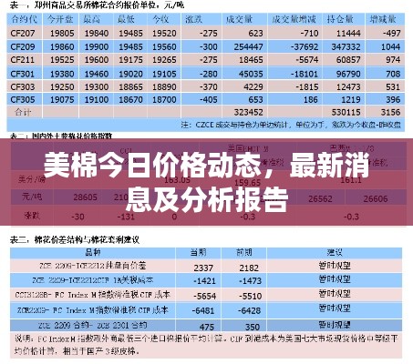 美棉今日价格动态，最新消息及分析报告