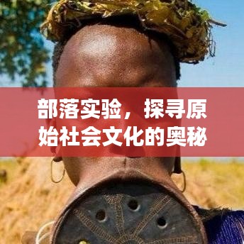 部落实验，探寻原始社会文化的奥秘之旅