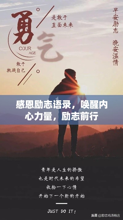 感恩励志语录，唤醒内心力量，励志前行