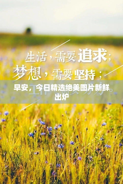 早安，今日精选绝美图片新鲜出炉