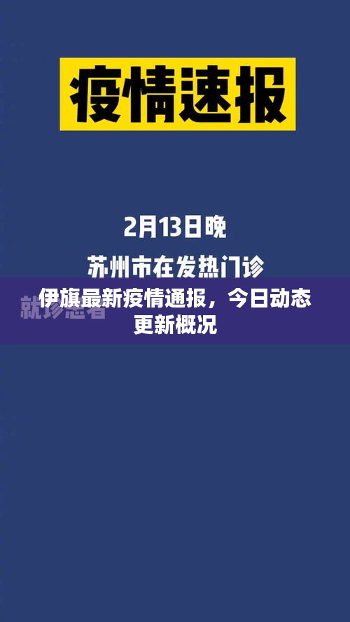 伊旗最新疫情通报，今日动态更新概况
